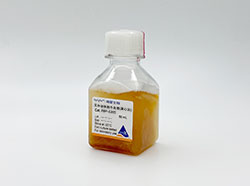 HyCyte?干细胞预筛选胎牛血清