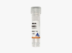 HyCyte? 潮霉素B(Hygromycin B),50 mg/mL
