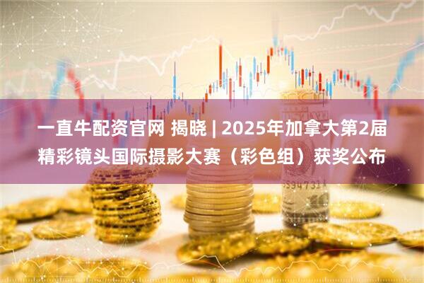 一直牛配资官网 揭晓 | 2025年加拿大第2届精彩镜头国际摄影大赛(彩色组)获奖公布