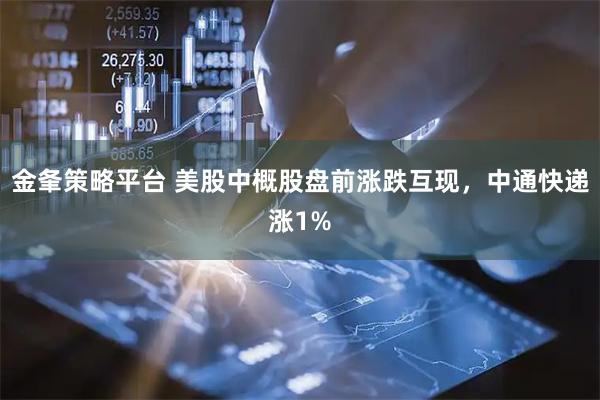 金夆策略平台 美股中概股盘前涨跌互现，中通快递涨1%