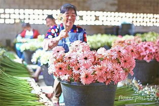 供应链条长产品寿命短 鲜花电商能最终 盛开 吗