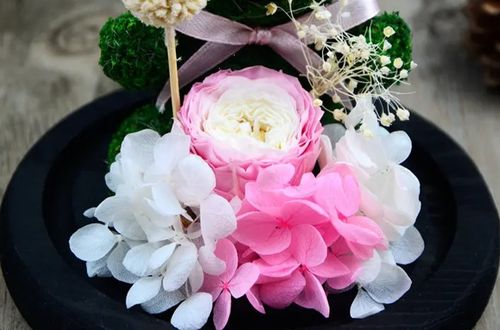 永生花