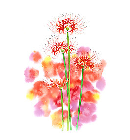 写意花卉图片_写意花卉素材_写意花卉