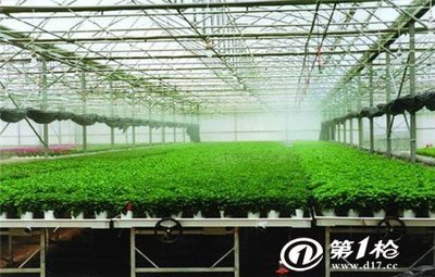曲靖花卉育苗移动苗床-从设计生产到成品安装-安平华耀