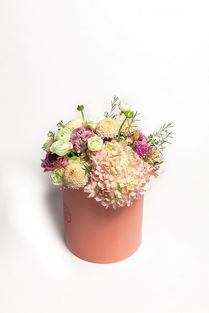 鲜花产品拍摄
