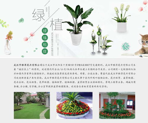 武汉绿植出租 雅淳花卉出租 绿植出租公司高清图片 高清大图