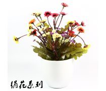 【汕头盆景产品库】_价格/图片/厂家 - 广东产品库
