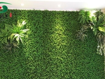 图 徐汇 斜土路仿真植物墙 真的植物墙 庭院景观公司 上海鲜花绿植