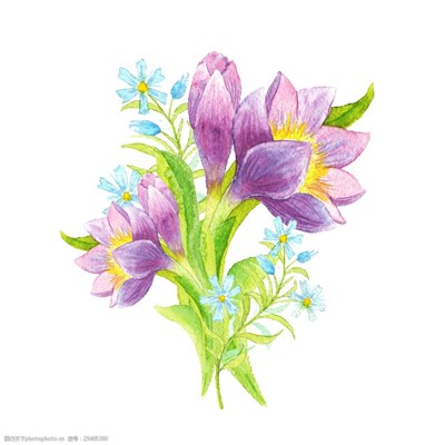 手绘花卉设计装饰素材