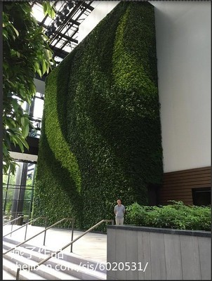 仿真植物墙效果图