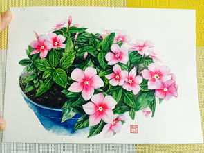 水彩 花卉 手绘 大家多多指点 蓝色花盆