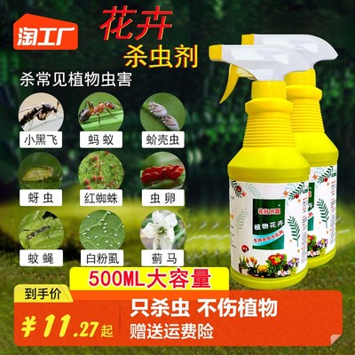 当前网购流行产品