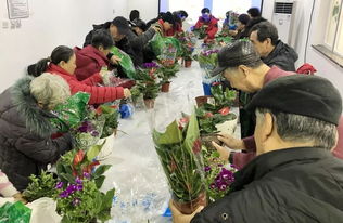 年宵花养护讲座
