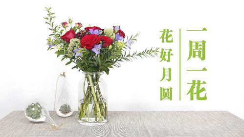 限时团购 今天的你,更适合买花