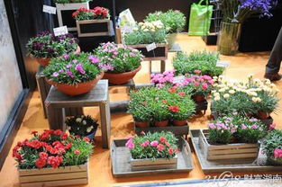 2015中国花卉食品暨花卉深加工展览会5月登陆上海