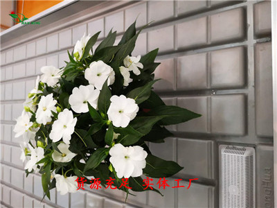 高效的农业灌溉技术-潮汐式花卉苗床 -产品介绍