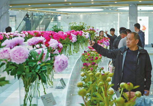 昆明国际花卉拍卖交易中心进军菏泽
