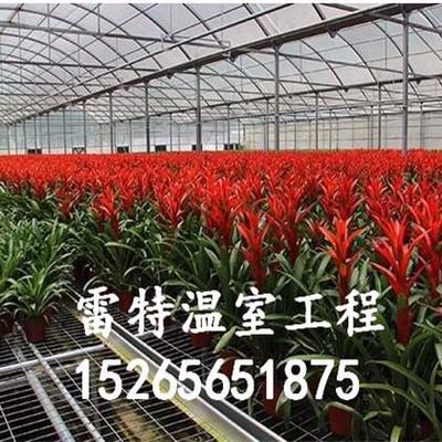 定制阳光板温室 花卉大棚厂家 优质产品质量有保证图片_高清图_细节图