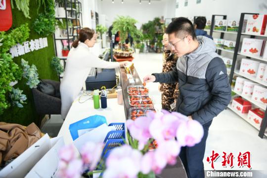 兰州新区打造高端林果花卉产供销一体化 年终推介受青睐